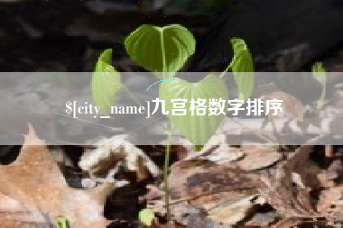 乐山九宫格数字排序
