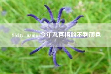 乐山今年九宫格的不利颜色