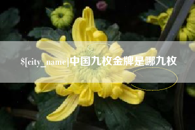 乐山中国九枚金牌是哪九枚