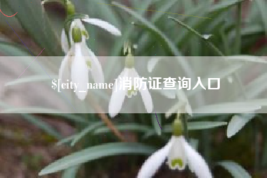 乐山消防证查询入口