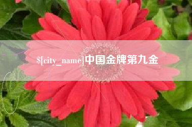乐山中国金牌第九金