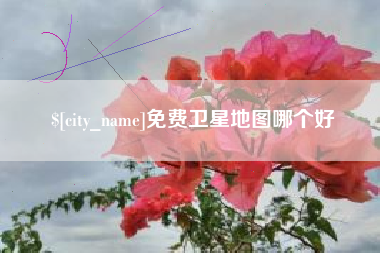乐山免费卫星地图哪个好