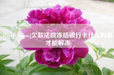 乐山欠款法院冻结银行卡什么时候才能解冻