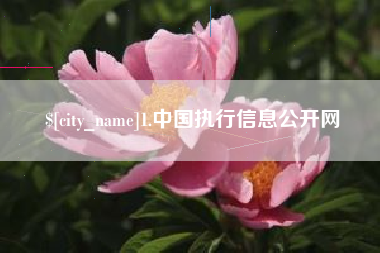 乐山1.中国执行信息公开网