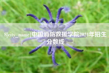 乐山中国消防救援学院2024年招生分数线
