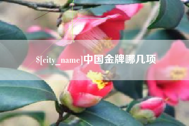 乐山中国金牌哪几项