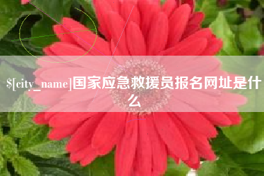 乐山国家应急救援员报名网址是什么