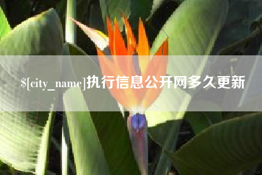 乐山执行信息公开网多久更新
