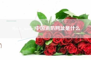 乐山中国消防网址是什么