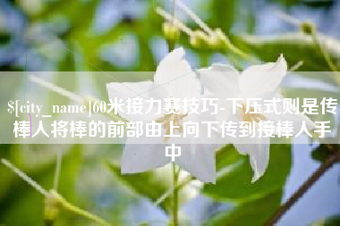 乐山60米接力赛技巧-下压式则是传棒人将棒的前部由上向下传到接棒人手中