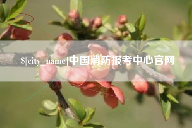 乐山中国消防报考中心官网