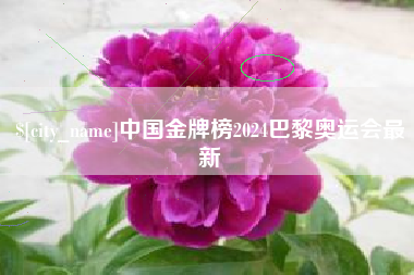 乐山中国金牌榜2024巴黎奥运会最新