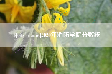 乐山2020年消防学院分数线
