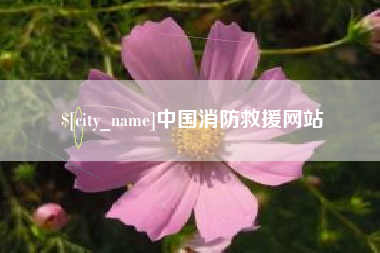 乐山中国消防救援网站