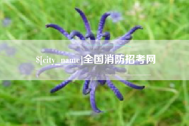 乐山全国消防招考网