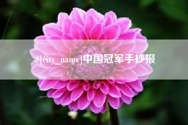 乐山中国冠军手抄报