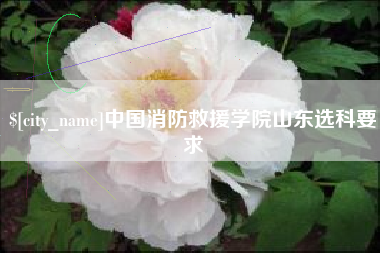 乐山中国消防救援学院山东选科要求