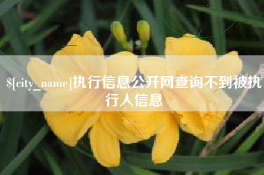 乐山执行信息公开网查询不到被执行人信息