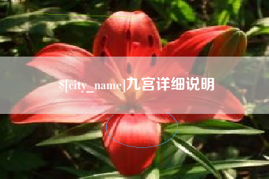乐山九宫详细说明
