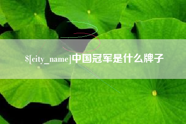 乐山中国冠军是什么牌子