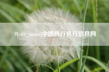 乐山中国执行执行信息网