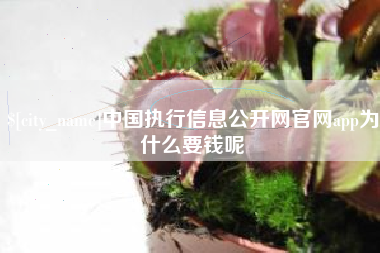 乐山中国执行信息公开网官网app为什么要钱呢