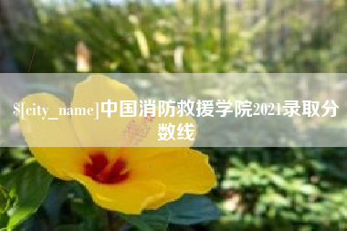 乐山中国消防救援学院2021录取分数线