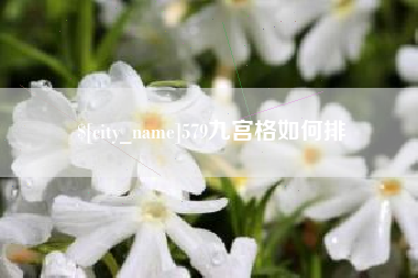 乐山579九宫格如何排