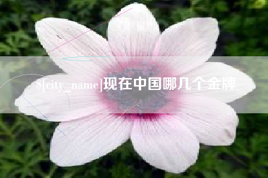 乐山现在中国哪几个金牌