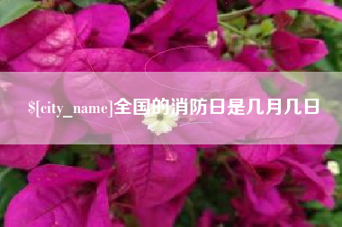 乐山全国的消防日是几月几日