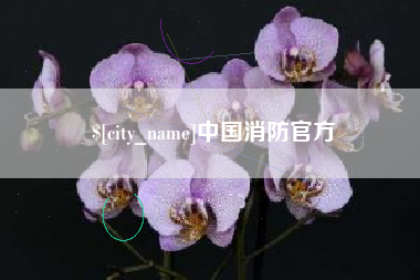 乐山中国消防官方