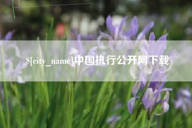 乐山中国执行公开网下载
