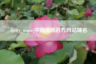乐山中国消防官方网站域名