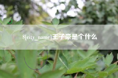 乐山王子豪是个什么