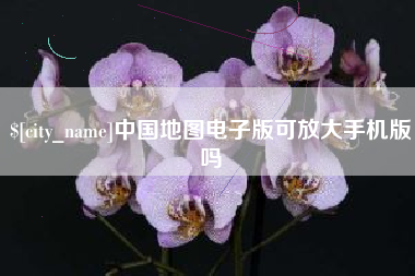 乐山中国地图电子版可放大手机版吗