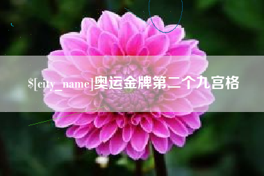 乐山奥运金牌第二个九宫格