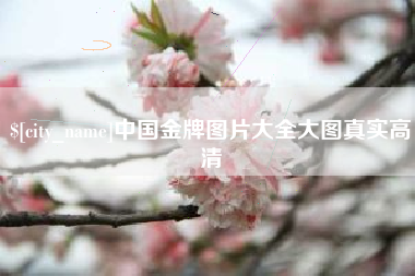 乐山中国金牌图片大全大图真实高清