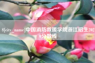 乐山中国消防救援学院浙江招生2020分数线