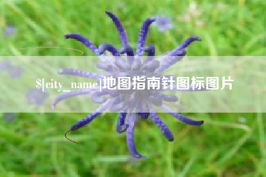 乐山地图指南针图标图片