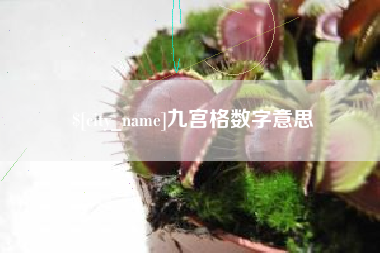乐山九宫格数字意思