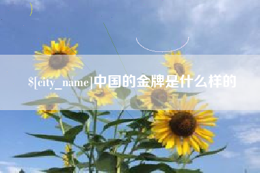 乐山中国的金牌是什么样的