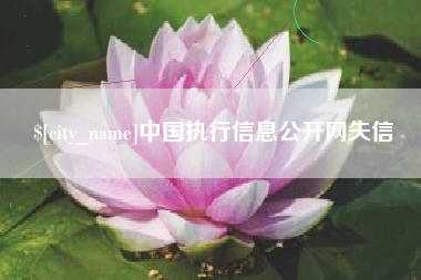 乐山中国执行信息公开网失信