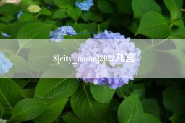 乐山2022九宫