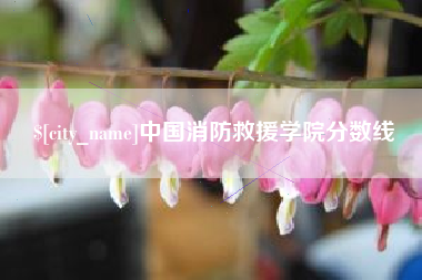 乐山中国消防救援学院分数线