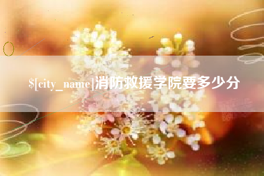 乐山消防救援学院要多少分