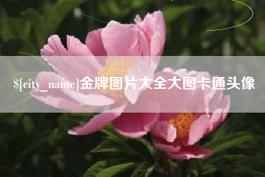 乐山金牌图片大全大图卡通头像