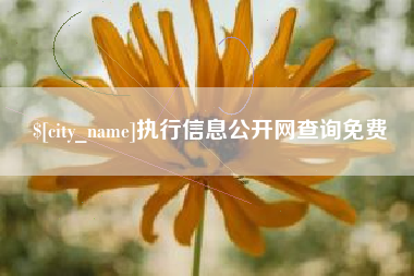 乐山执行信息公开网查询免费