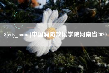 乐山中国消防救援学院河南省2020